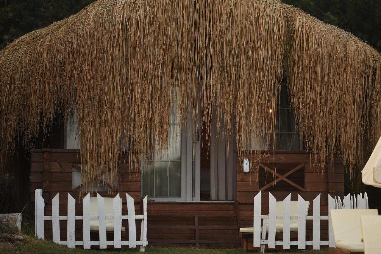 Bungalow - Beach Front,1154941407:JPEG