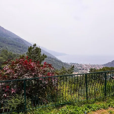 King Royal Palace-3
