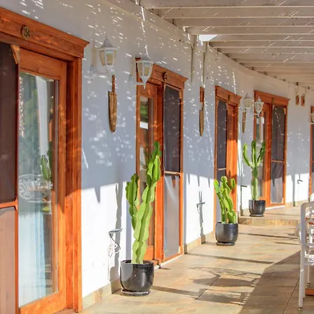 Ölüdeniz Manzara Non Alcoholic Family Hotel-2