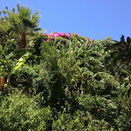 Aygul Hotel-3