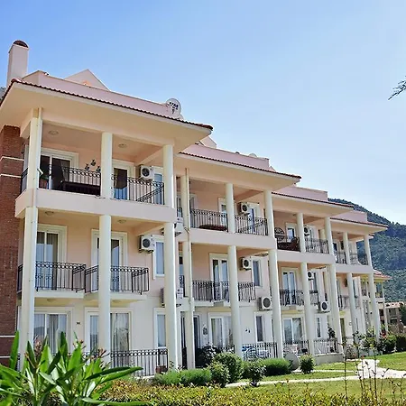 Pinara 40-2